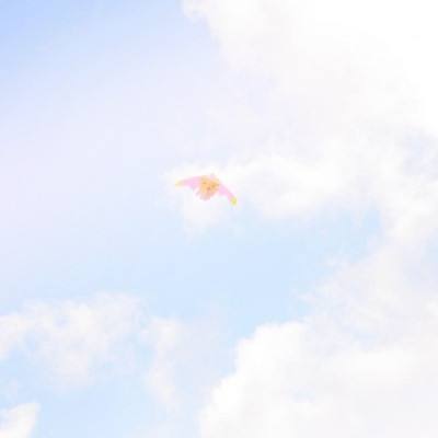 绝地王者最新破解版下载