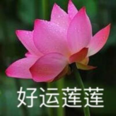 道门仙灵剑手游下载